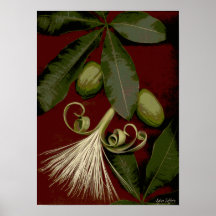Flores-193 Poster