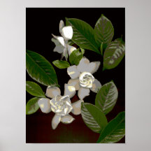 Flores-205 Print