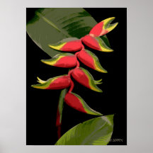 Flores-218 Posters