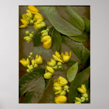 Flores-320 Print