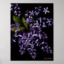 Flores-474 Poster