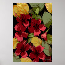 Flores-501 Posters