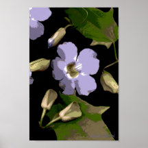 Flores-543 Poster