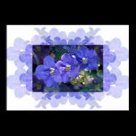 'Flores Azuis' (Blue Flowers) posters