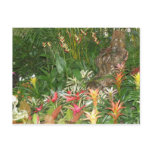 Flores en Aibonito postcards
