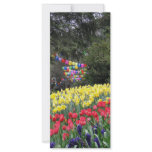 Floriade 2009 rack cards