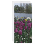 Floriade Lake 2009 rack cards