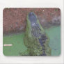 Florida Alligator Mouse Pad