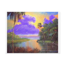Florida Backwoods Colours