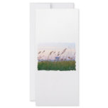 Florida beach pink and purple sunset rack cards