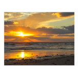 Florida Beach Scenic Sunrise Mug Postcard