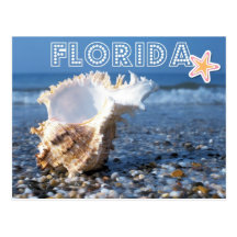 Florida beach seashell tropical paradise postcard