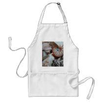 Florida Beach shells Apron