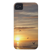 Florida Beach Sunset with Birds iPhone 4 Cases