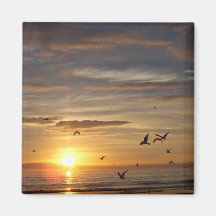 Florida Beach Sunset with Birds Refrigerator Magnet