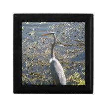 Florida Bird Gift Boxes