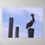 Florida Bird Print