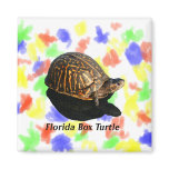 Florida Box turtle Photograph w Text magnets