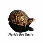 Florida Box turtle Photograph w Text photo sculptures