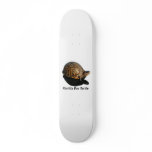 Florida Box turtle Photograph w Text skateboards