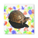 Florida Box turtle Photograph with Shadow Cutout magnets