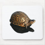Florida Box turtle Photograph with Shadow Cutout Mousepads