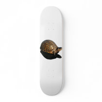 Florida Box turtle Photograph with Shadow Cutout Skate Board Decks