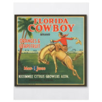 Florida Cowboy