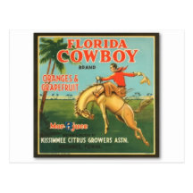 Florida Cowboy Post Cards