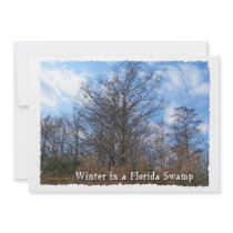 Florida Cypress Swamp Winter scene Invitations