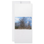Florida Cypress Swamp Winter scene rack cards