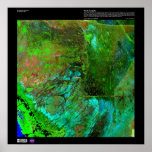 Florida Everglades posters