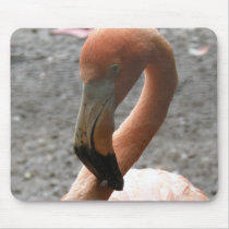 Florida Flamingo Mouse Pad