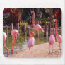 Florida Flamingos Mouse Mats