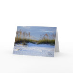 Florida Gulf Coast Beach cards