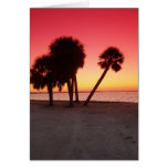 Florida Gulf Sunset Greeting Cards