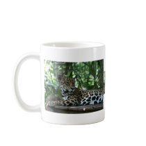 Florida Jaguar looking back lying down Mugs
