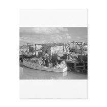 Florida Keys Fishing, 1938 Postcards