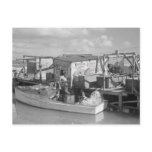 Florida Keys Fishing, 1938 postcards