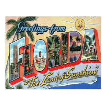 Florida Large Letter Postcard