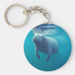 Florida Manatee Key Chains