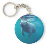 Florida Manatee Key Chains