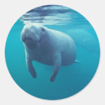 Florida Manatee Round Sticker