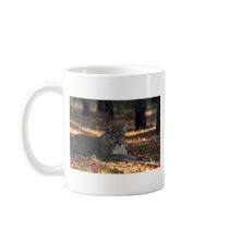 Florida """"Panther"""" (Cougar) lying down Mugs