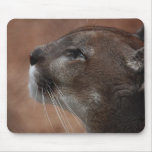 Florida panther mousepads