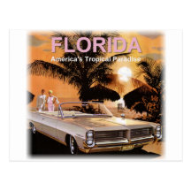 Florida Paradise Postcard