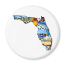 FLORIDA PICTURE DESIGN FRIDGE MAGNETS
