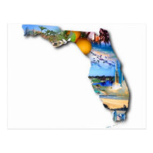 FLORIDA PICTURE DESIGN POSTCARDS