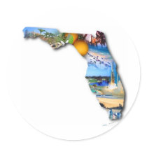 FLORIDA PICTURE DESIGN STICKER