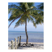 Florida Postcards